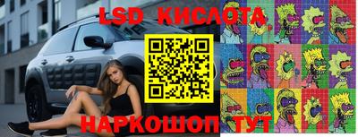 прущие крисы Кулебаки